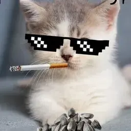 SLIKI