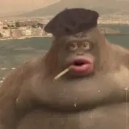 StinkyMonkey