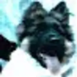 stiilunknown