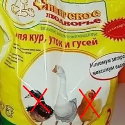 Kuvvyor