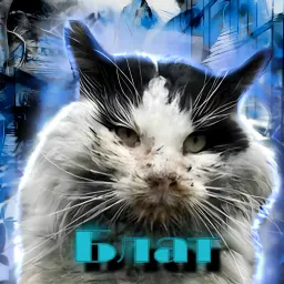 Блат