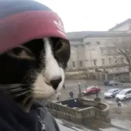 tampodore