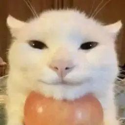 krutoi667