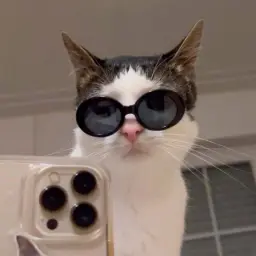 Prostokvashino