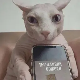didakidmoment