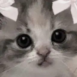 vlcnnny