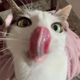 Moryarty