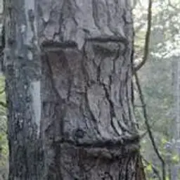 minosterik