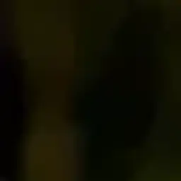 tpezviycat