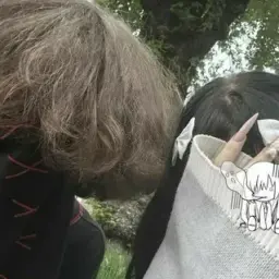 osintdamage
