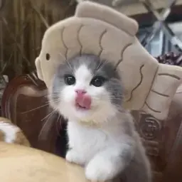 Sofbaka
