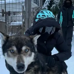 whq