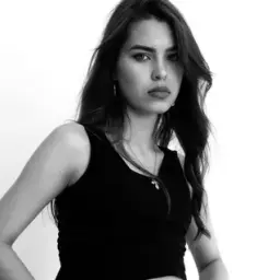 imid_model