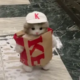 kasperskyzz