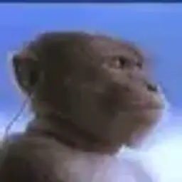 reneozaaa