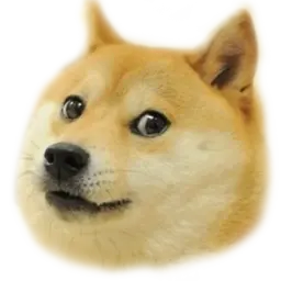 xxxpivasion8