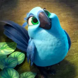 RioKnite