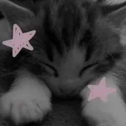 Twixxie