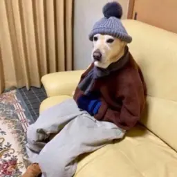 lilstapian