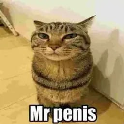 SmileCat