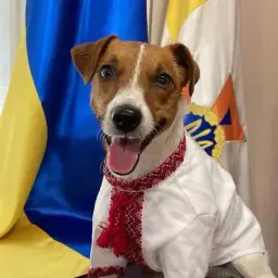 Podzalulkin