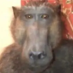 TTCUX33