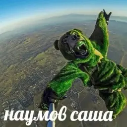 bigboybebra