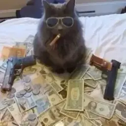 sp1nyy