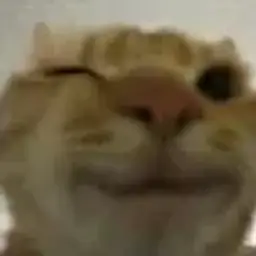 FyZzZen