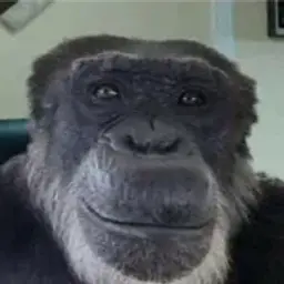 HomakB