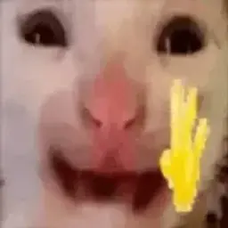 PochtiChelovek