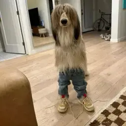 nekkktto