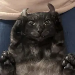 ganefa