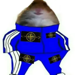 borroww1337