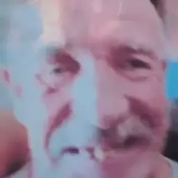 dino_pppp