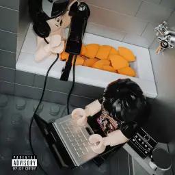 ayduckmadethis