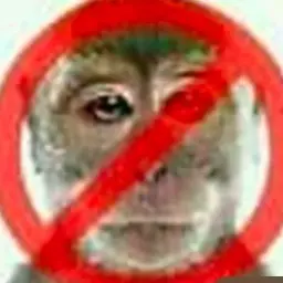 МОМЧИК