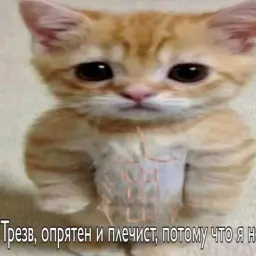 Wlrns