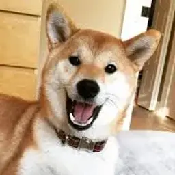 ResisoShop