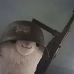 SALEHNUMBER1