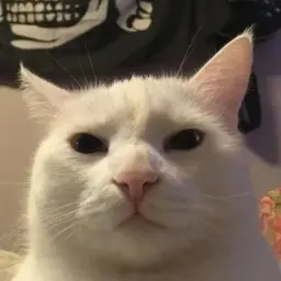 neftikz