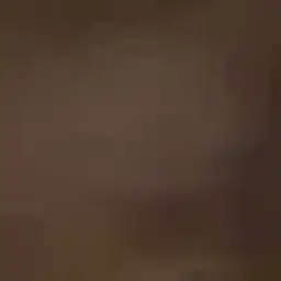 VITUSAP
