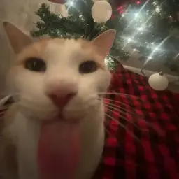 Zab000