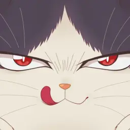 angrycatsboy