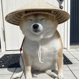 OGUzok
