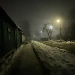 dikovitskiy