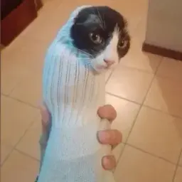 hfhdjkd