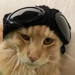 keeeefchik