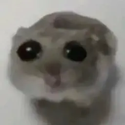 2456634563