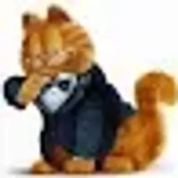 GarfieldLLL